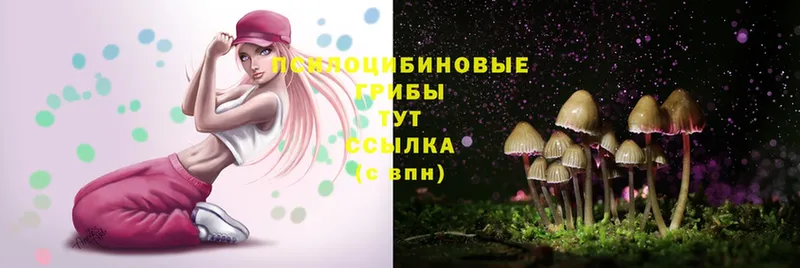 Псилоцибиновые грибы MAGIC MUSHROOMS Западная Двина