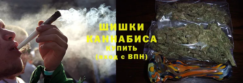 Каннабис OG Kush  Западная Двина 